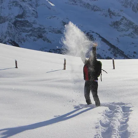 费里恩沃诺艾琳酒店 * 图克斯