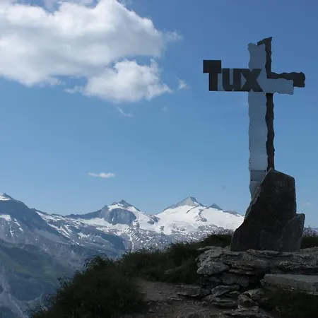 公寓 费里恩沃诺艾琳酒店 *